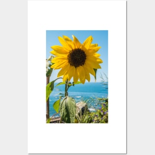 Sunflower field. Sunflower with blue sky and the sea in backgorund. Summer background, bright yellow sunflower over blue sky. Landscape with sunflower field over cloudy blue sky. Posters and Art